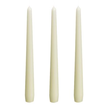 Ivory Tapered Dinner 10" Candles (by Bolsius)