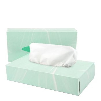 Cloudsoft Facial Tissues White 2ply 100 sheets