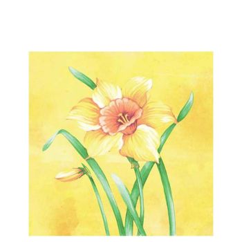 Spring Daffodils Airlaid Napkins 40cm