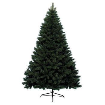 Canada Spruce Christmas Tree 1.2m (4ft)