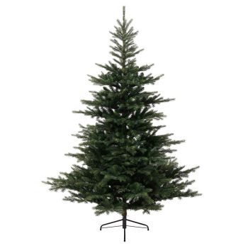 Grandis Fir Christmas Tree 2.1m (7ft)